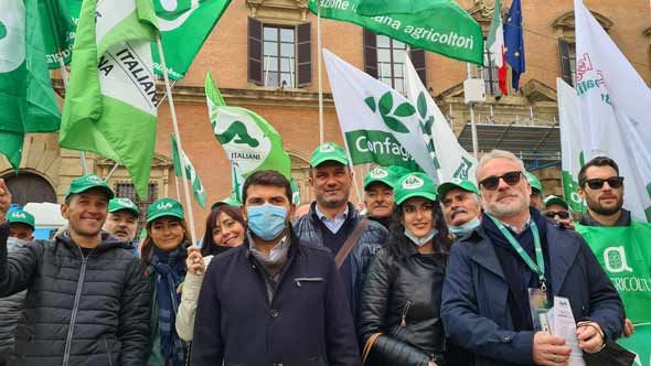 presidio gruppo