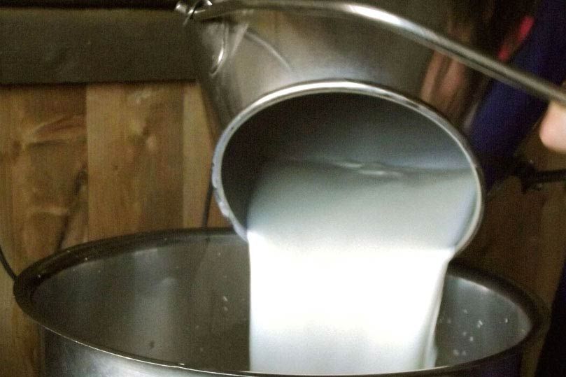 latte versato