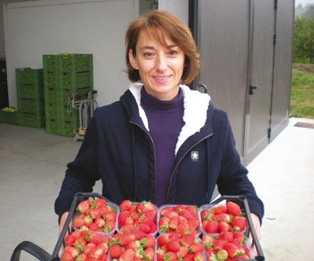 fragole italiane