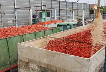 carro pomodoro
