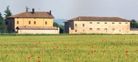 Grimandi