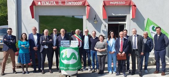 Il Rintocco