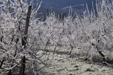 gelate in romagna